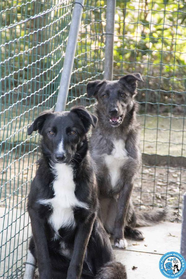 Nina, Nana e Noah: il club degli invisibili Foto 3